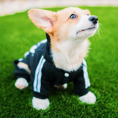 Dog Jumpsuit Costume